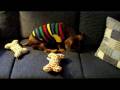 videos de Buster Brown so Cute!!