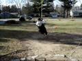 Kiersten Swinging