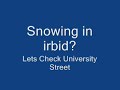 Snow in irbid