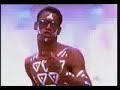 Timbalada-Beija-flor