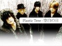 Plastic Tree - Kuuhaku no hi [t?umaczenie]