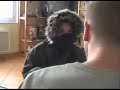 e.t