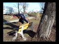 Best of Parkour Braila