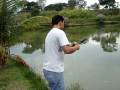 videos de PESCA NO ENGENHO