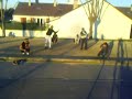 team ultimateck
