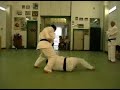 Arti Marziali martial Ju Jitsu Salerno Alberto Michele fight