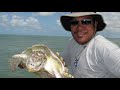 Calusa 2009