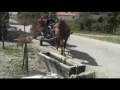 la vie pratique en roumanie 005