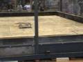 videos de Texas Heat vs. Slap Em Silly - RG05