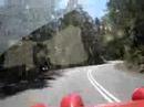 Noddy touring Tasmania Noddy touring Tasmania