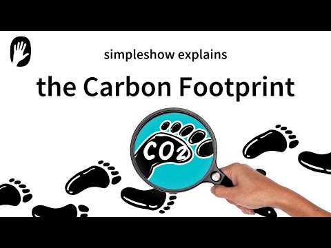 how to reduce your carbon footprint