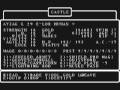 FM TOWNS版 Wizardry V エンディング