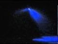 Acme LED Penguin Barrel LED Disco Light @ Astounded