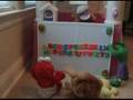 videos de ABC Song