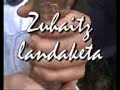Zuhaitz landaketa