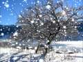 Paysages d'hiver.wmv
