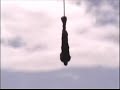 Bungy Jump Bungy Jump