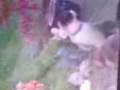 videos de Video000.zzzzzzzzz