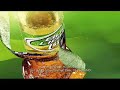 Commercial for Bud Light Lime (2008) (Television Commercial)