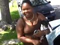 Dog Attack