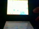 DS Lite ONYX review DS Lite ONYX review