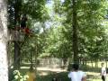 videos de this is huy falling down!
