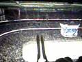 Tampa bay lightining vs Philadelphia Flyers 12/29/07