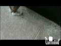 Assistir ao v�deo