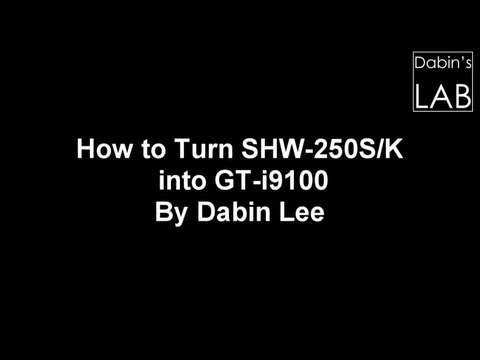how to repair nv data i9100