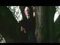D/Hr - I Hate Everything About You