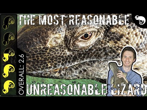 YouTube reptile video