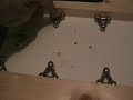 short vid to show the negitive side to trying to jump a gap within a tri-gate array