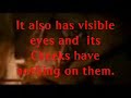 2 Cloverfield Monsters Real Movie Footage 2 Cloverfield Monsters Real Movie Footage