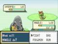 videos de Shiny Gold: Mawile Grinding