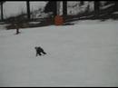 fun-skiboard