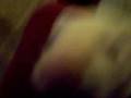 Ferret Attack!!