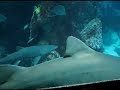 New England Aquarium Boston