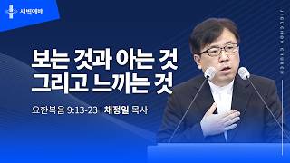 보는 것과 아는 것 그리고 느끼는 것