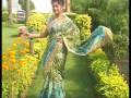 Multicolour Pure Georgette Saree with Blouse