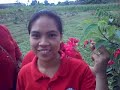Los baños lakbay-aral.mp4