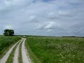 360 degree view at the ridgeway, wiltshire, england, with skylarks singing