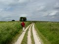 360 degree view at the ridgeway, wiltshire, england, with skylarks singing