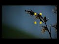 National Geographic Channel Día de la Tierra lluvia National Geographic Channel Día de la Tierra lluvia