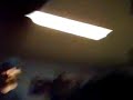 crazy 4 man moshpit-ruined by angry step dad