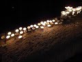 lichtjes@zuid lichtjes@zuid