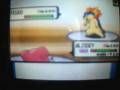 Pokemon Wi-Fi Battle PokeFannatic VS Solo
