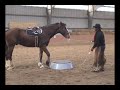 Pedestal and clydesdale cross Pedestal and clydesdale cross