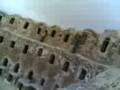 trip 2 nALut
