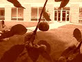 ECTV - Thompson Gym Construction Package