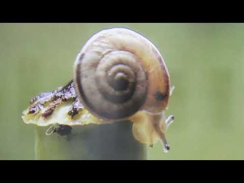 „MALA OGLEDALA“ OLJE SIMOVIĆ IZ RAŠKE DO 23. JULA U KULTUNOM CENTRU ČAČAK